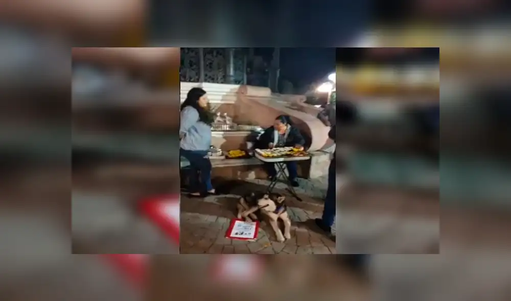 En Facebook, una joven decidió vender varios productos para ayudar a su mascota que tiene bolas en el cuerpo. En Facebook, una joven decidió vender varios productos para ayudar a su mascota que tiene bolas en el cuerpo.