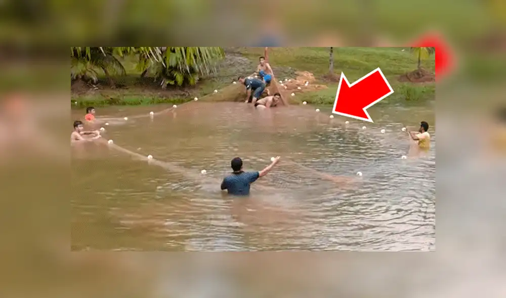 YouTube viral: Entran a pescar y quedan en shock al ver extrañas criaturas en su red [VIDEO]
