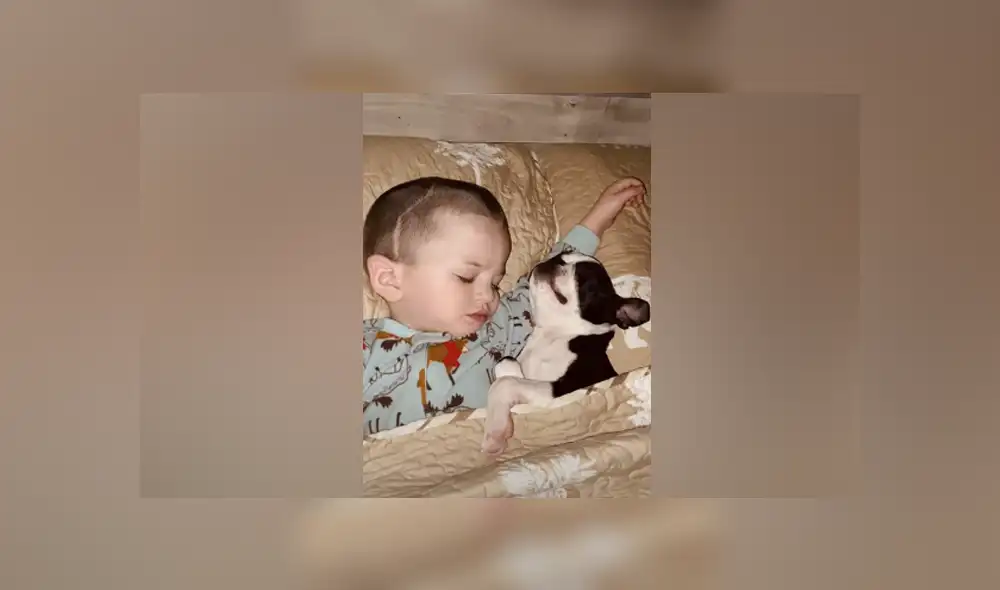 Desliza hacia la izquierda para ver las imágenes del viral de Facebook. Desliza hacia la izquierda para ver las imágenes del viral de Facebook.