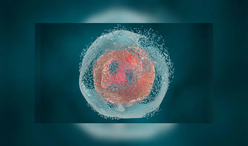 Representación en 3D de una célula sufriendo una muerte celular programada. Imagen: The Scientist.