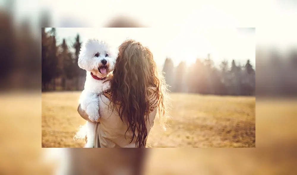 Cuidemos a nuestras mascotas.