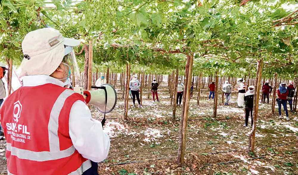 ley agraria trabajadores agrarios agroexportacion ley agraria trabajadores agrarios agroexportacion