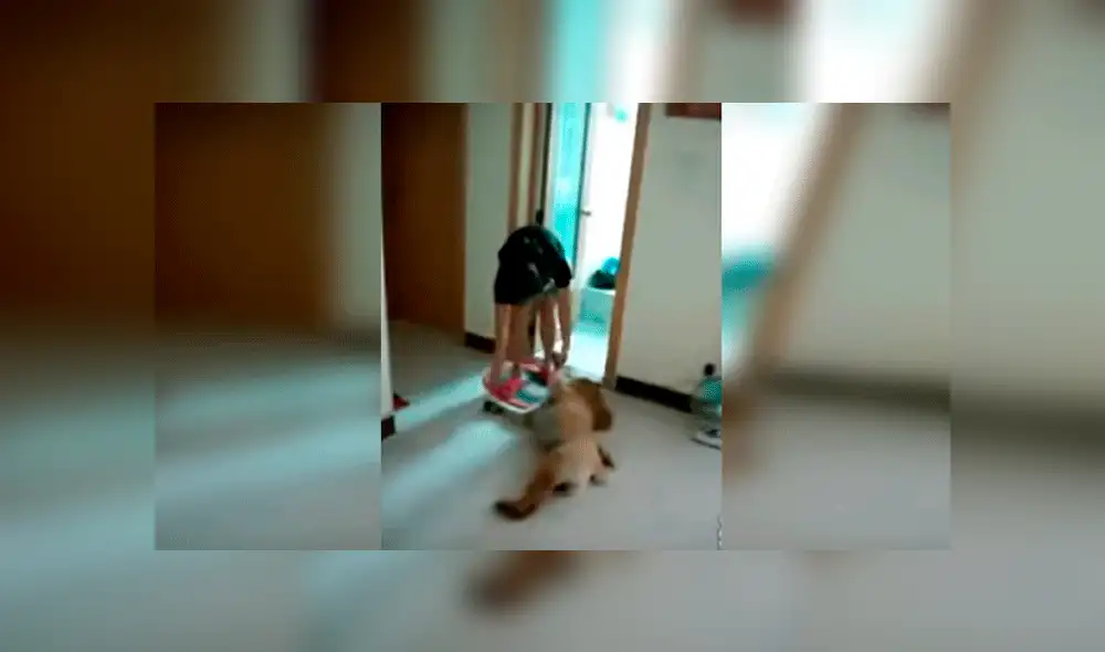 Facebook viral: perro no quiere que su dueña lo bañe y finge estar muerto [VIDEO] 