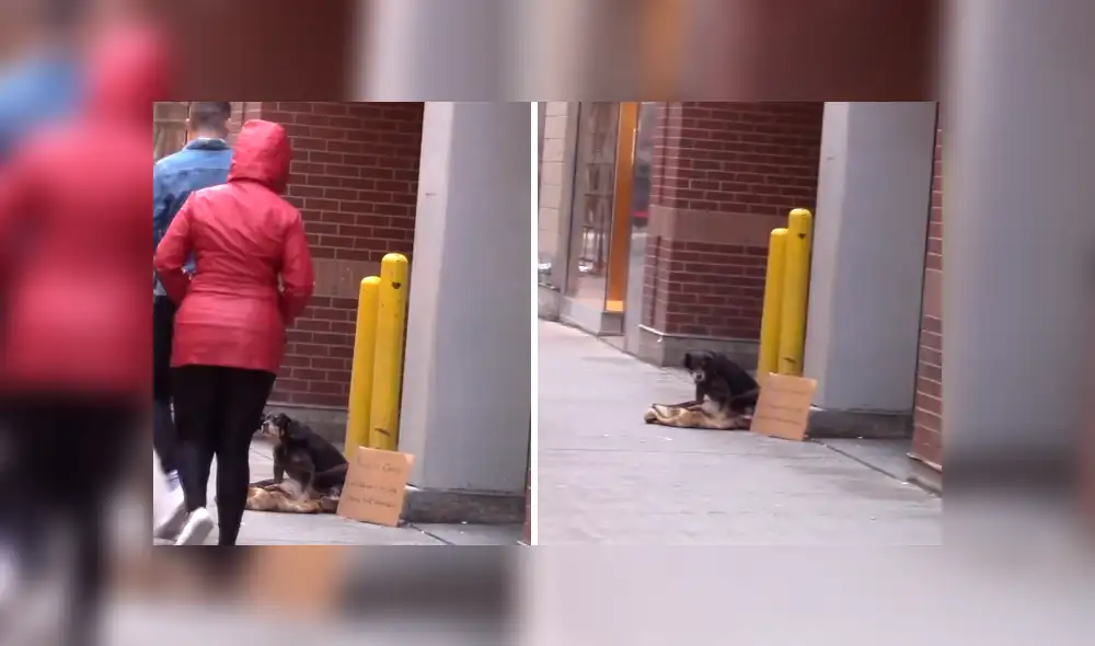 Desliza hacia la izquierda para ver más del video viral