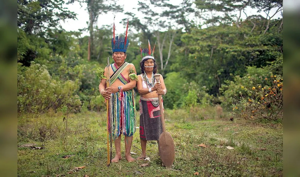 Proyecto de fujimorista Tubino amenaza pueblos indígenas de Purús Proyecto de fujimorista Tubino amenaza pueblos indígenas de Purús