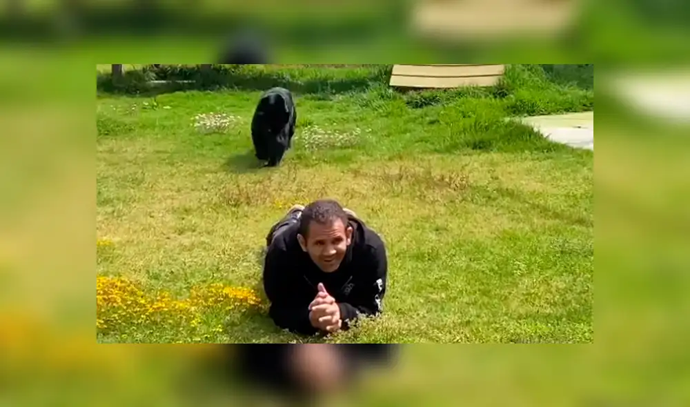 Desliza hacia la izquierda las imágenes que muestran el momento en que el feroz depredador ataca a su cuidador. Imágenes son virales en YouTube.