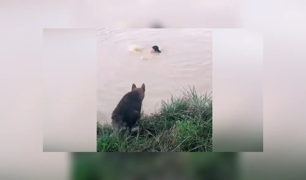 Desliza hacia la izquierda para ver las imágenes del viral de YouTube. Foto: Captura. Desliza hacia la izquierda para ver las imágenes del viral de YouTube. Foto: Captura.