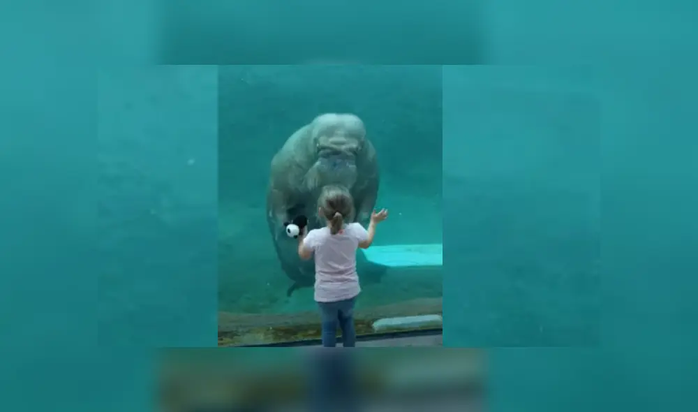 Desliza hacia la izquierda para ver más del video viral. Fotocaptura: YouTube
