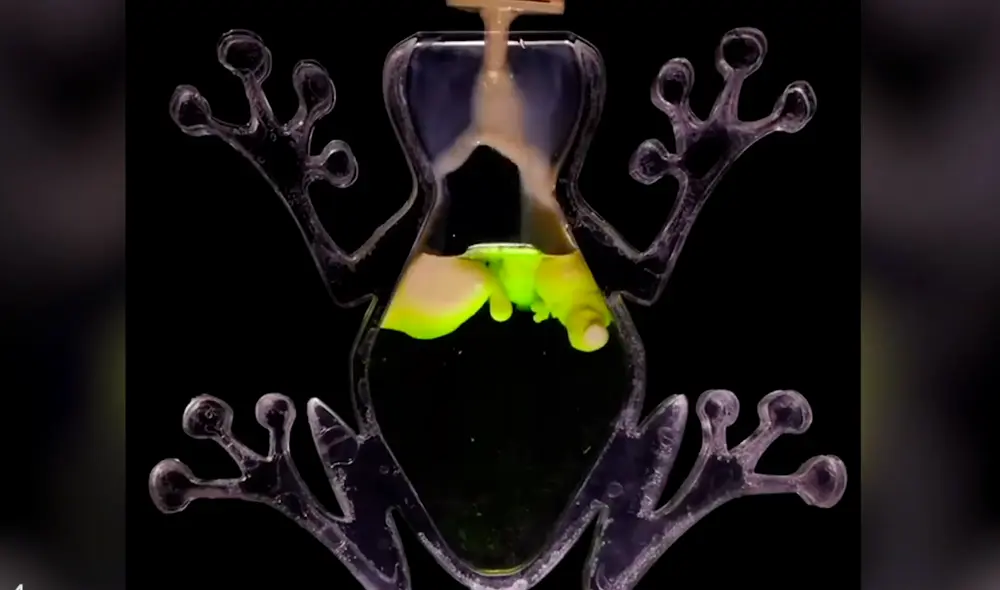 El sujeto aprendió viendo videos en internet. Foto: viscosity1 / Cater Clips