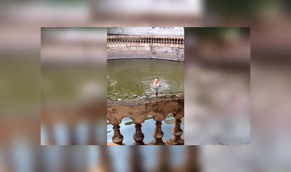 Video es viral en YouTube. Apenas escuchó los gritos de su dueño, el perro tuvo una reacción que fue aplaudida por miles de personas en las redes sociales. Foto: Captura. Video es viral en YouTube. Apenas escuchó los gritos de su dueño, el perro tuvo una reacción que fue aplaudida por miles de personas en las redes sociales. Foto: Captura.