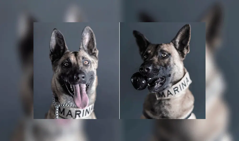 Eska y Eros. Foto: Santiago Arau