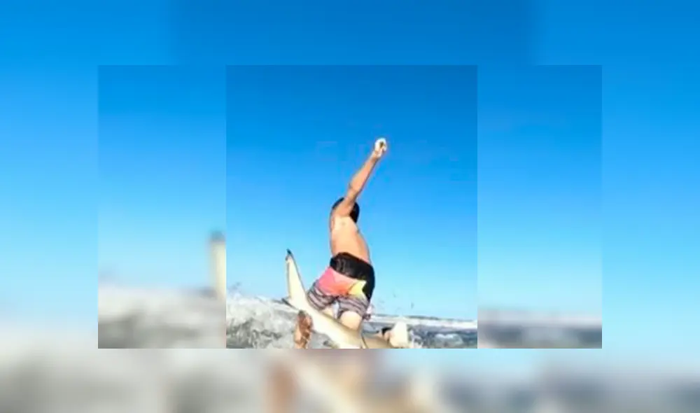 En Facebook, un niño surfeaba en la playa de New Smyrna y no imaginó que se llevaría un tremendo susto. En Facebook, un niño surfeaba en la playa de New Smyrna y no imaginó que se llevaría un tremendo susto.