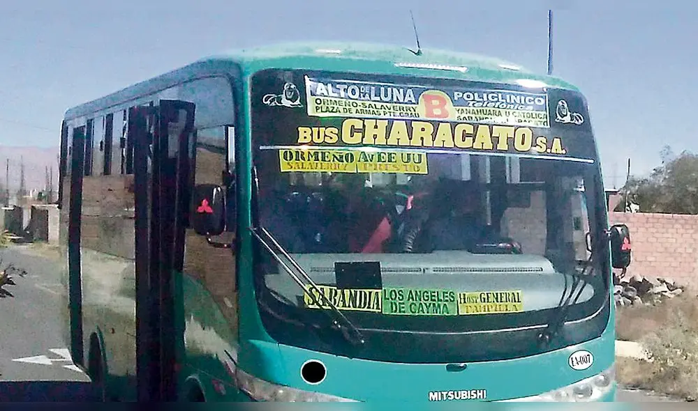 Buses servirán en cono sur.