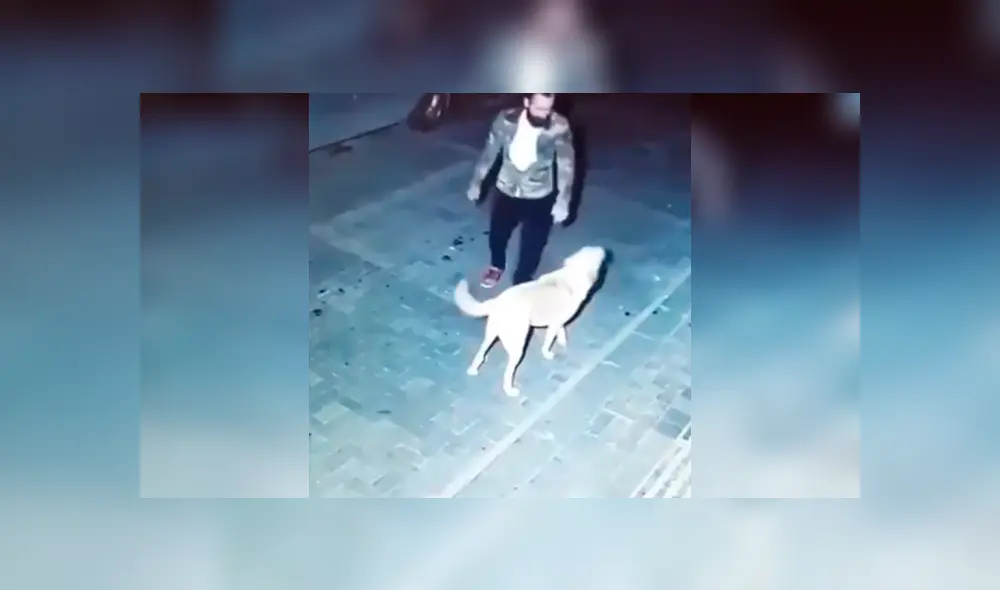 Desliza para ver el desenlace de este video viral publicado en Facebook. Foto: Captura.