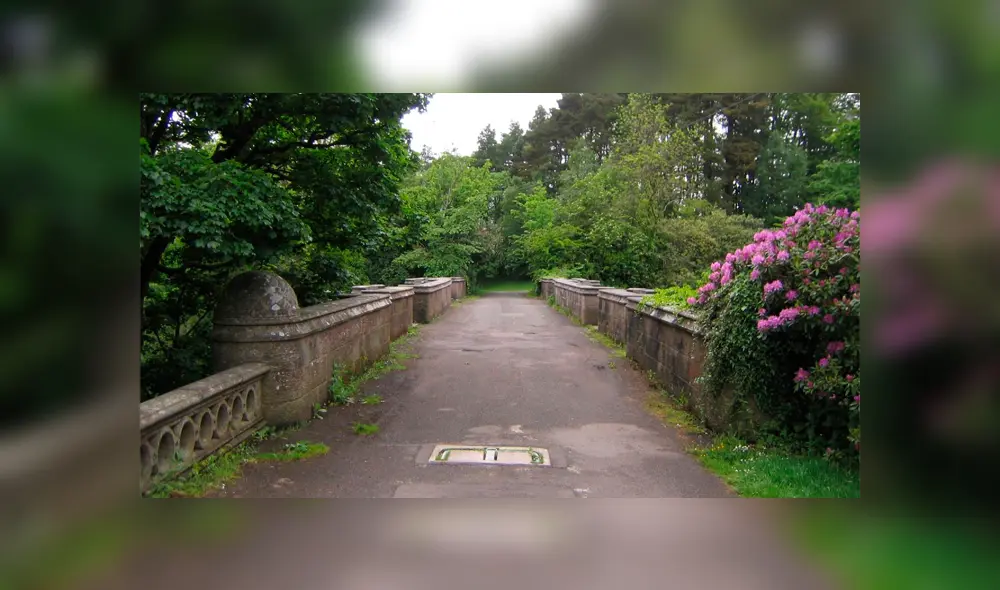 ¿Por qué los perros se suicidan en el Puente de Overtun? [FOTOS]