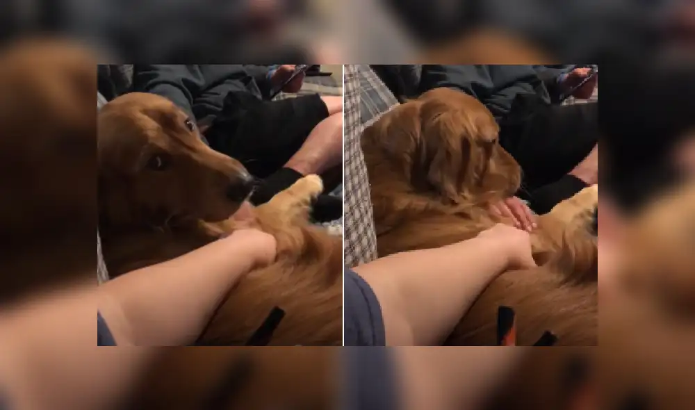 Desliza las imágenes para ver más detalles sobre esta escena que es viral en Facebook.