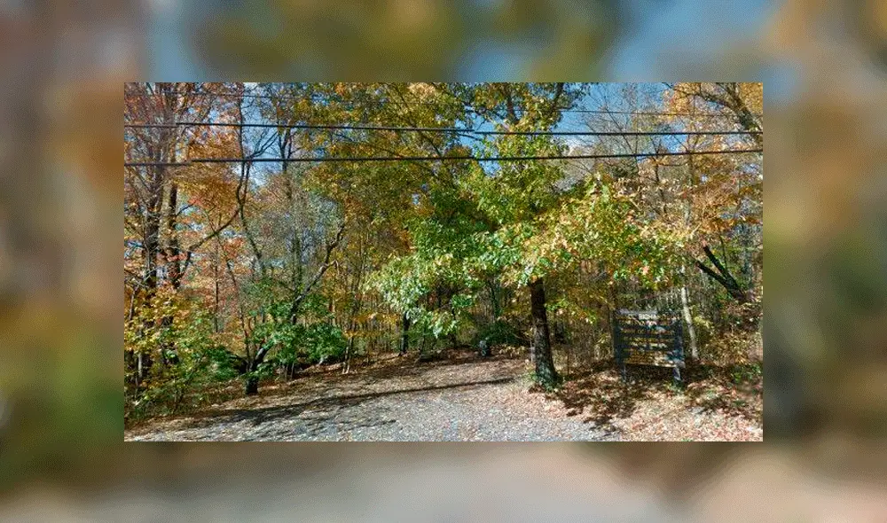 Detienen a seis ancianos por tener relaciones sexuales en público