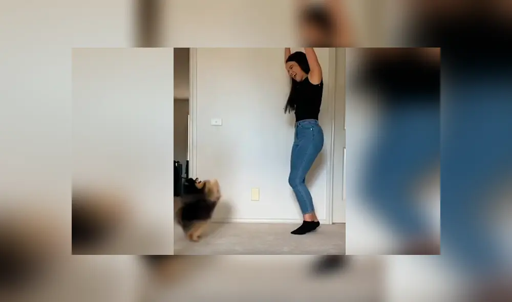 Desliza las imágenes hacia la izquierda para apreciar la divertida coreografía que realizó un perro con su dueña. Desliza las imágenes hacia la izquierda para apreciar la divertida coreografía que realizó un perro con su dueña.