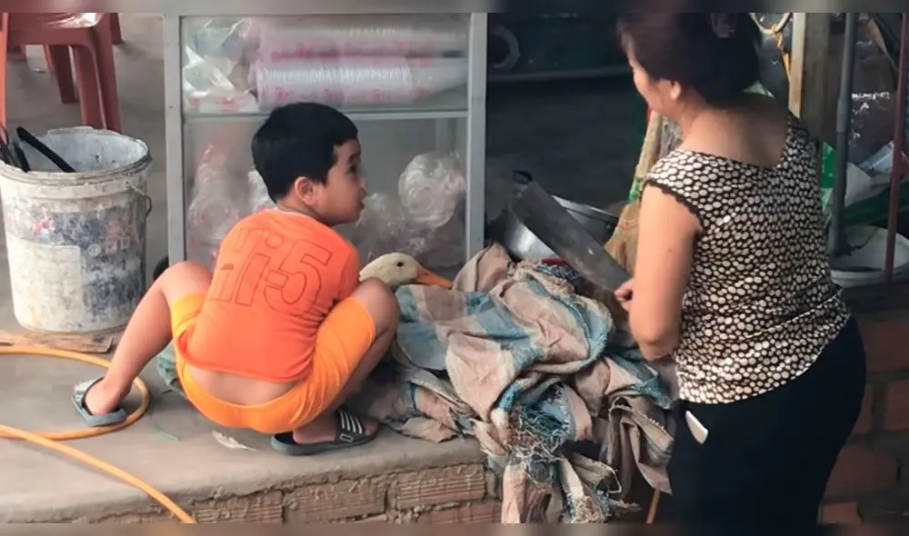 YouTube: señora quiso matar a un pato para cocinarlo y su hijo hizo lo inesperado