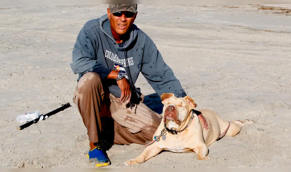 El perro se acercó inmediatamente al delfín para intentar socorrerlo. Foto: G.N. Miller El perro se acercó inmediatamente al delfín para intentar socorrerlo. Foto: G.N. Miller