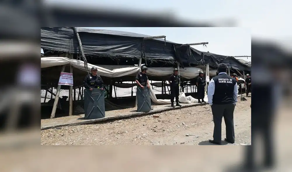 Santa Rosa: clausuran definitivamente criaderos de aves insalubres [FOTOS]