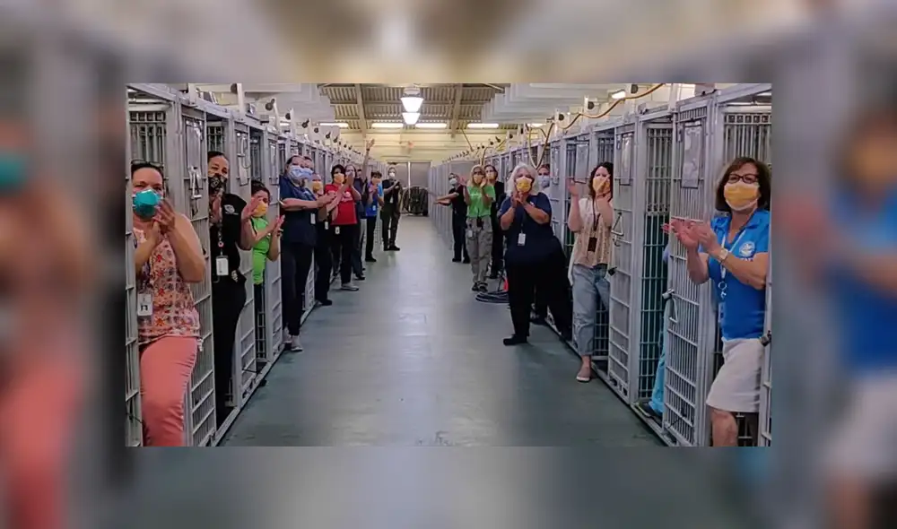 Los trabajadores de un refugio festejaron que todos sus animales consiguieron ser adoptados. Foto: Captura Los trabajadores de un refugio festejaron que todos sus animales consiguieron ser adoptados. Foto: Captura
