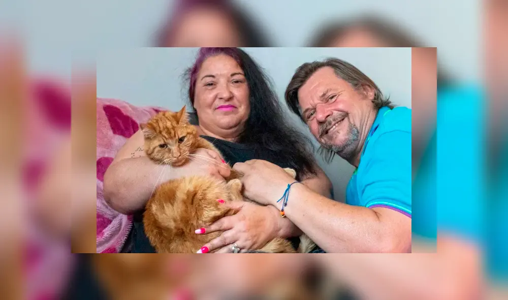 Desliza la imagen de Facebook para verlas todas Foto: John McLellan