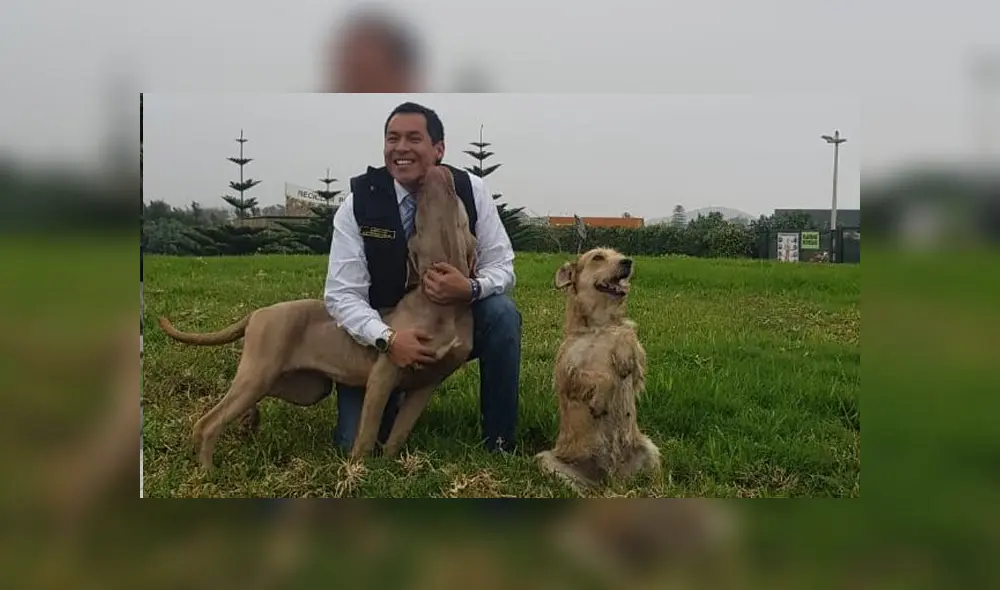 La mascota fue adoptada por la comuna.