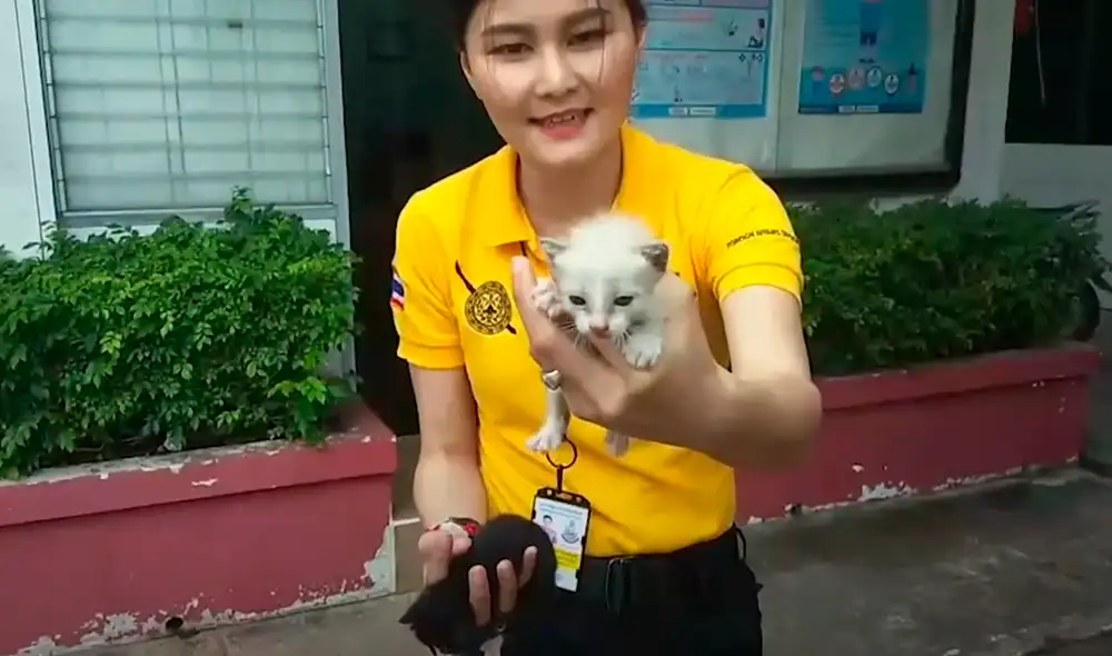 La operación de rescate duró 10 minutos. Foto: Viral Press / YouTube