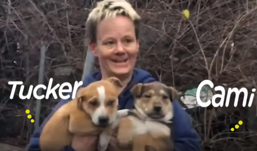 La mujer entró a una casa derrumba a salvarle la vida a los pequeños canes. Foto: El Dodo / Facebook La mujer entró a una casa derrumba a salvarle la vida a los pequeños canes. Foto: El Dodo / Facebook
