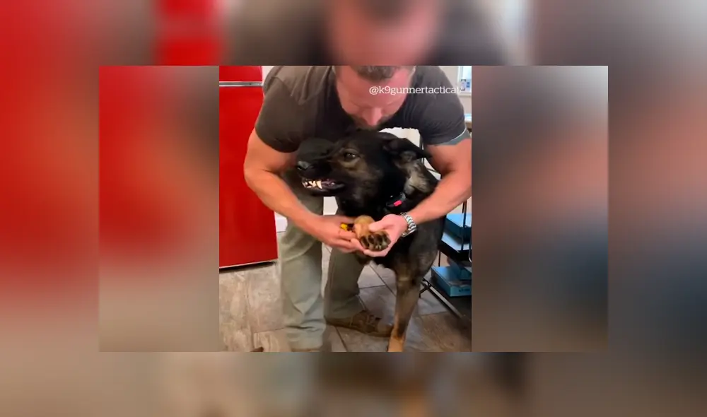 Desliza para ver los momentos más divertidos del video que se hizo viral en Facebook. Desliza para ver los momentos más divertidos del video que se hizo viral en Facebook.