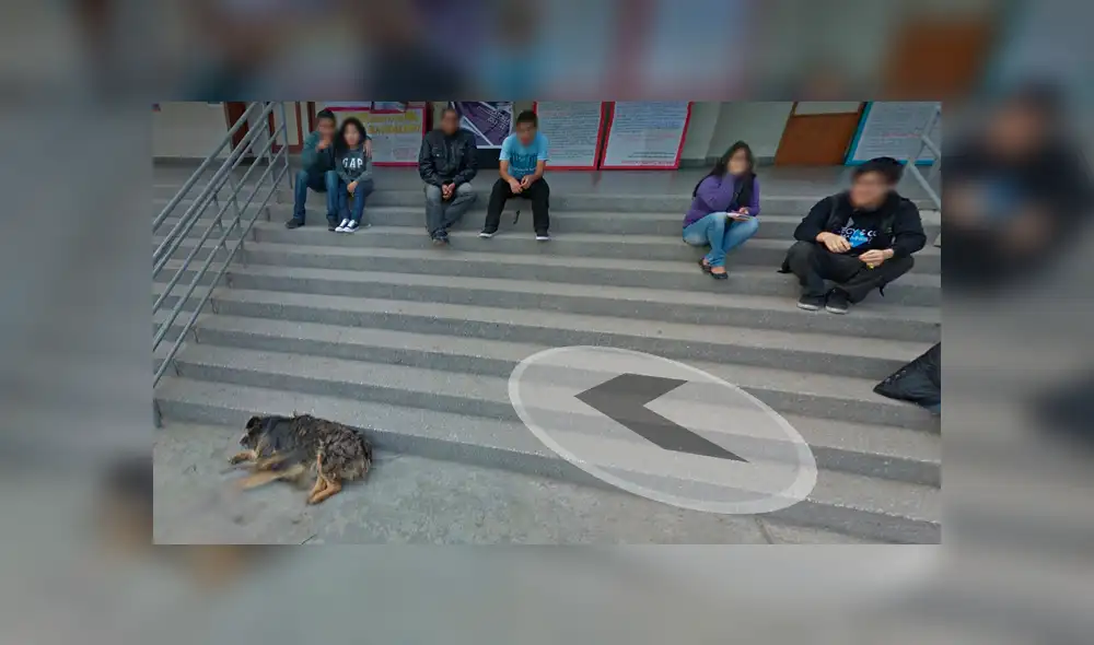 Google Maps: captan a la querida mascota 'Perrovaca' en su lugar favorito de la UNMSM [FOTOS]