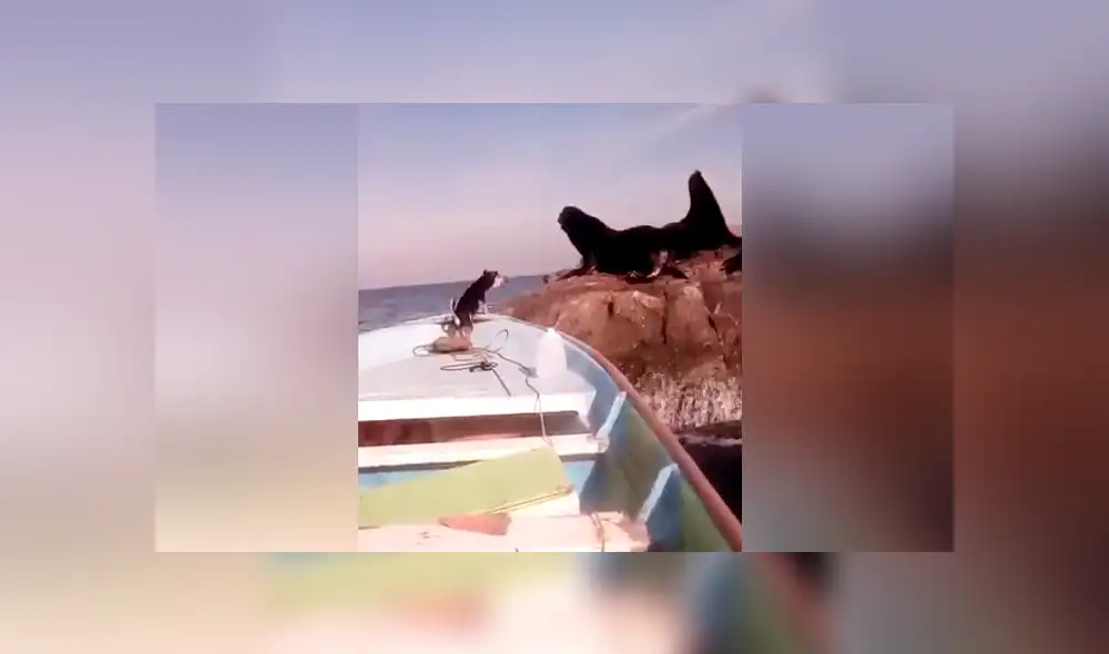 Desliza para ver los momentos más divertidos del video que se hizo viral en Facebook.