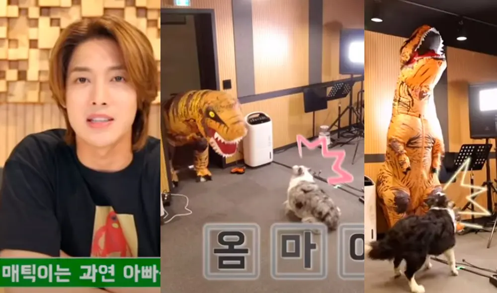 La broma de Kim Hyun Joong a sus mascotas. Foto: composición Diario La República / YouTube