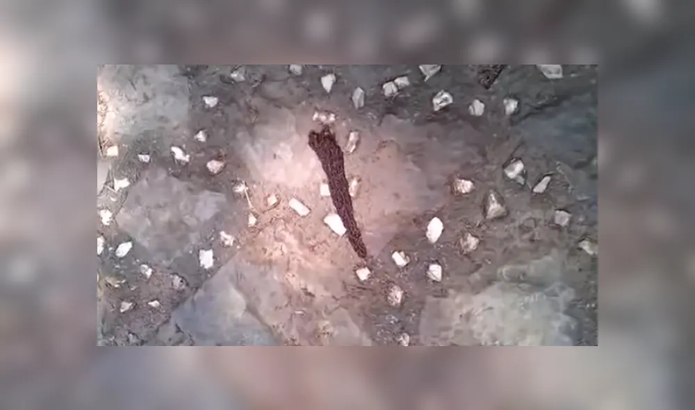 Desliza para ver las imágenes más impactantes del video que se hizo viral en YouTube.