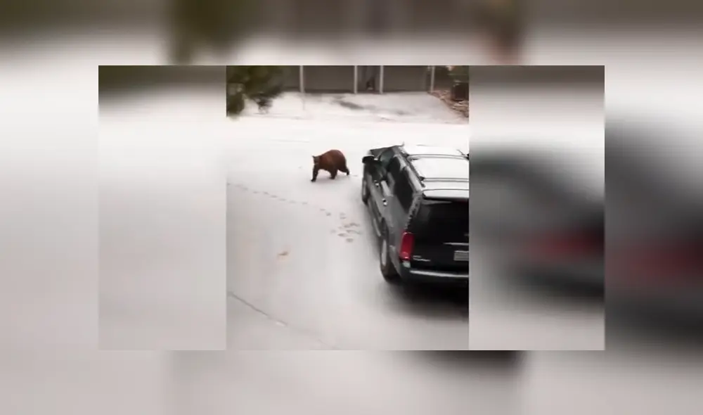 Desliza para ver los momentos más impactantes del video que se hizo viral en YouTube Desliza para ver los momentos más impactantes del video que se hizo viral en YouTube