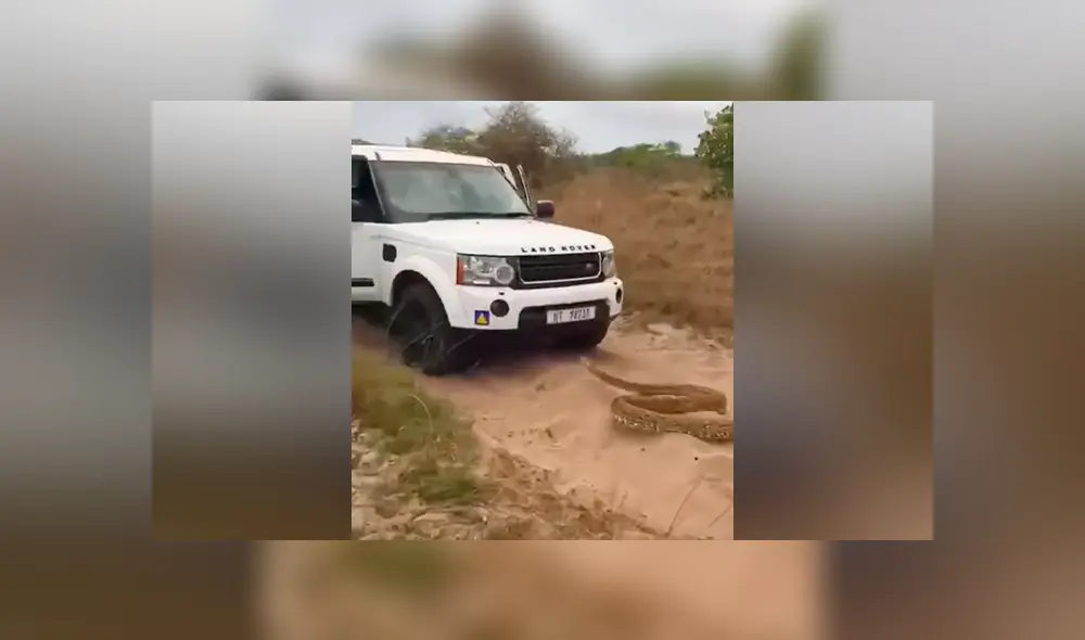 Los protagonistas del video viral de YouTube fueron acechados por una gigantesca criatura asesina. Los protagonistas del video viral de YouTube fueron acechados por una gigantesca criatura asesina.