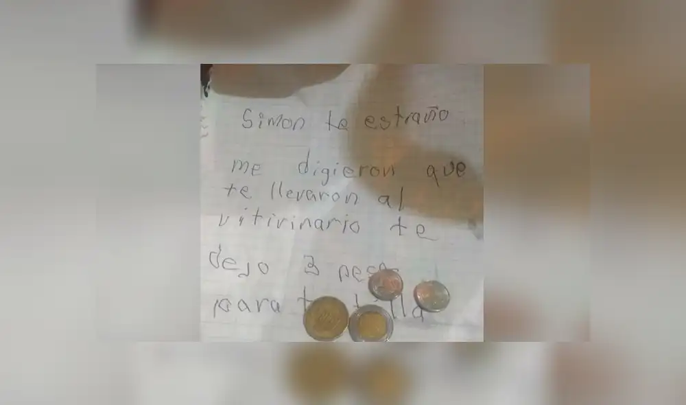 Desliza las imágenes hacia la izquierda para conocer la tierna acción de un pequeño al recordar a su perro. Fotocaptura: Facebook.