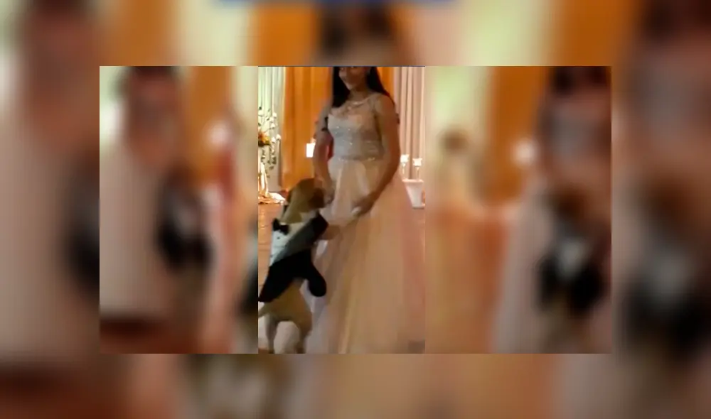 Desliza para ver los detalles de este video viral publicado en Facebook. Foto: Captura. Desliza para ver los detalles de este video viral publicado en Facebook. Foto: Captura.