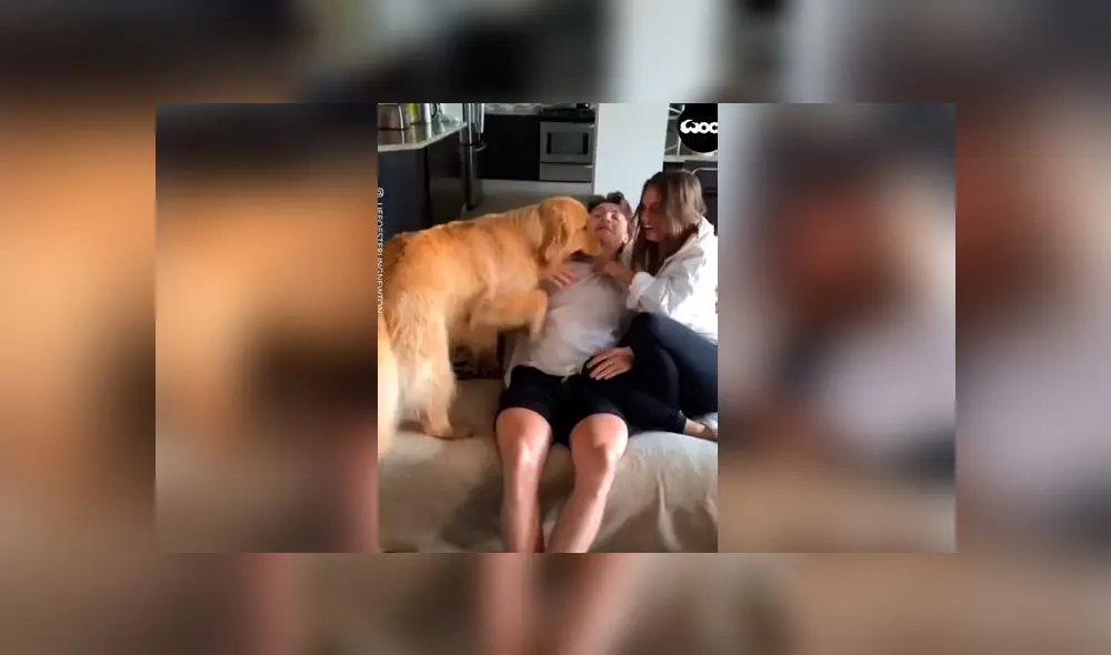 Desliza las imágenes para ver la curiosa reacción que tuvo un perro al ver a su dueño abrazando a su novia. Foto: Woof Woof