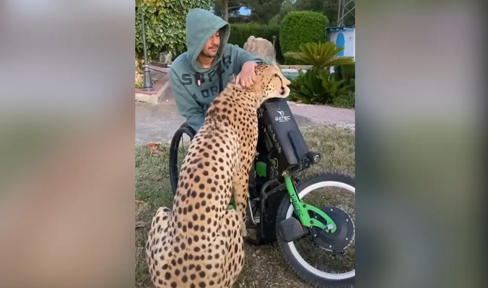 Desliza hacia la izquierda para ver las imágenes del video viral. Foto: Captura de Facebook.