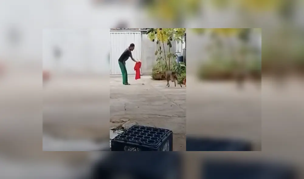 Desliza para ver los detalles del video viral publicado en YouTube. Foto: Captura. Desliza para ver los detalles del video viral publicado en YouTube. Foto: Captura.