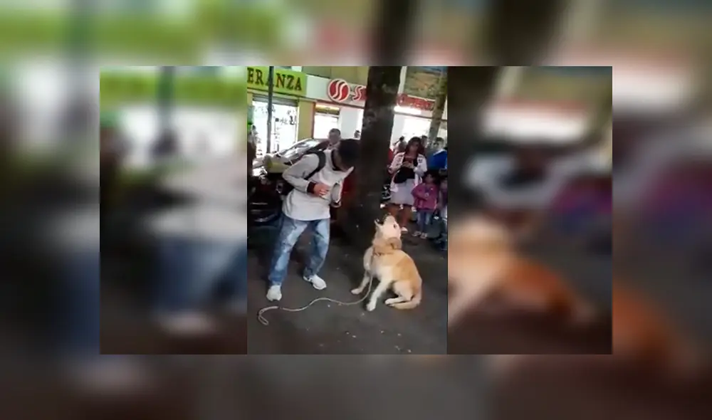 En Facebook, un joven ambulante realizó un espectáculo en la calle junto a su perro que impactó con su acto.