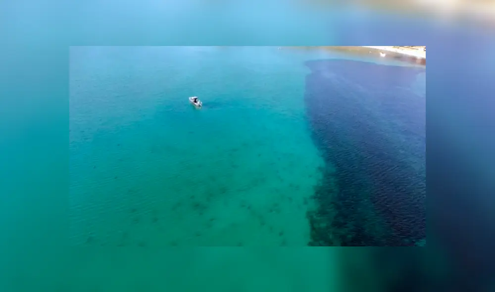 Desliza para ver los momentos más impactantes del video que se hizo viral en YouTube. Desliza para ver los momentos más impactantes del video que se hizo viral en YouTube.