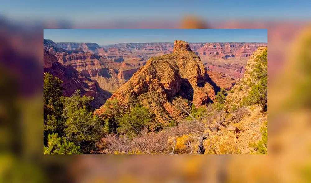 Hombre sobrevivió durante 11 días en el Gran Cañón en temperaturas bajo cero Hombre sobrevivió durante 11 días en el Gran Cañón en temperaturas bajo cero