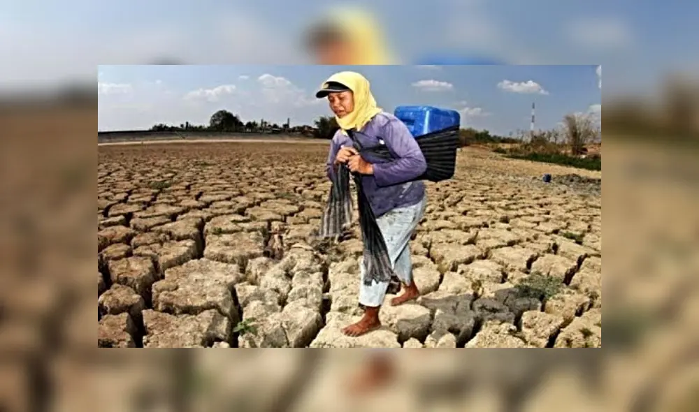 ¿Cómo se relaciona la degradación ambiental con la violencia de género? ¿Cómo se relaciona la degradación ambiental con la violencia de género?