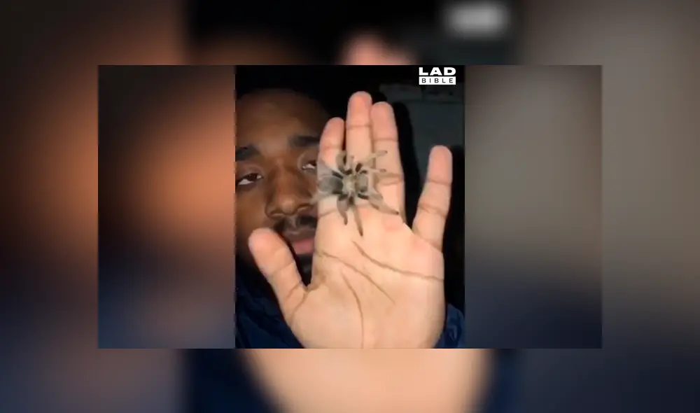 Chico abre la boca y expulsa venenosa criatura en plena transmisión en vivo [VIDEO]