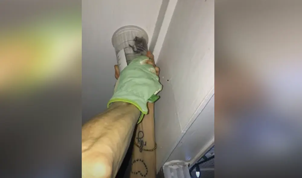 Desliza hacia la izquierda para ver las imágenes del video viral. Foto: Captura de YouTube.