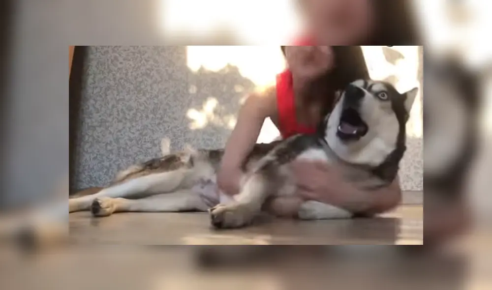 A través de Facebook se volvió viral la hilarante reacción de un perro al ser abrazado por su dueña. A través de Facebook se volvió viral la hilarante reacción de un perro al ser abrazado por su dueña.