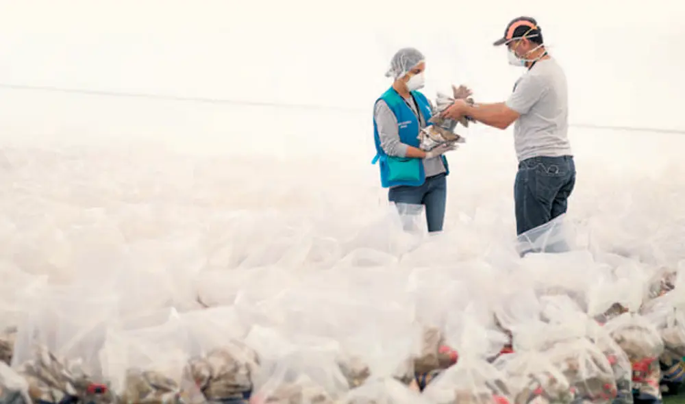 Deficiencias. La empresa contratada para entregar las canastas no lo hizo conforme el contrato, pero la Municipalidad Provincial del Callao no la sancionó. Foto: Aldair Mejía Deficiencias. La empresa contratada para entregar las canastas no lo hizo conforme el contrato, pero la Municipalidad Provincial del Callao no la sancionó. Foto: Aldair Mejía